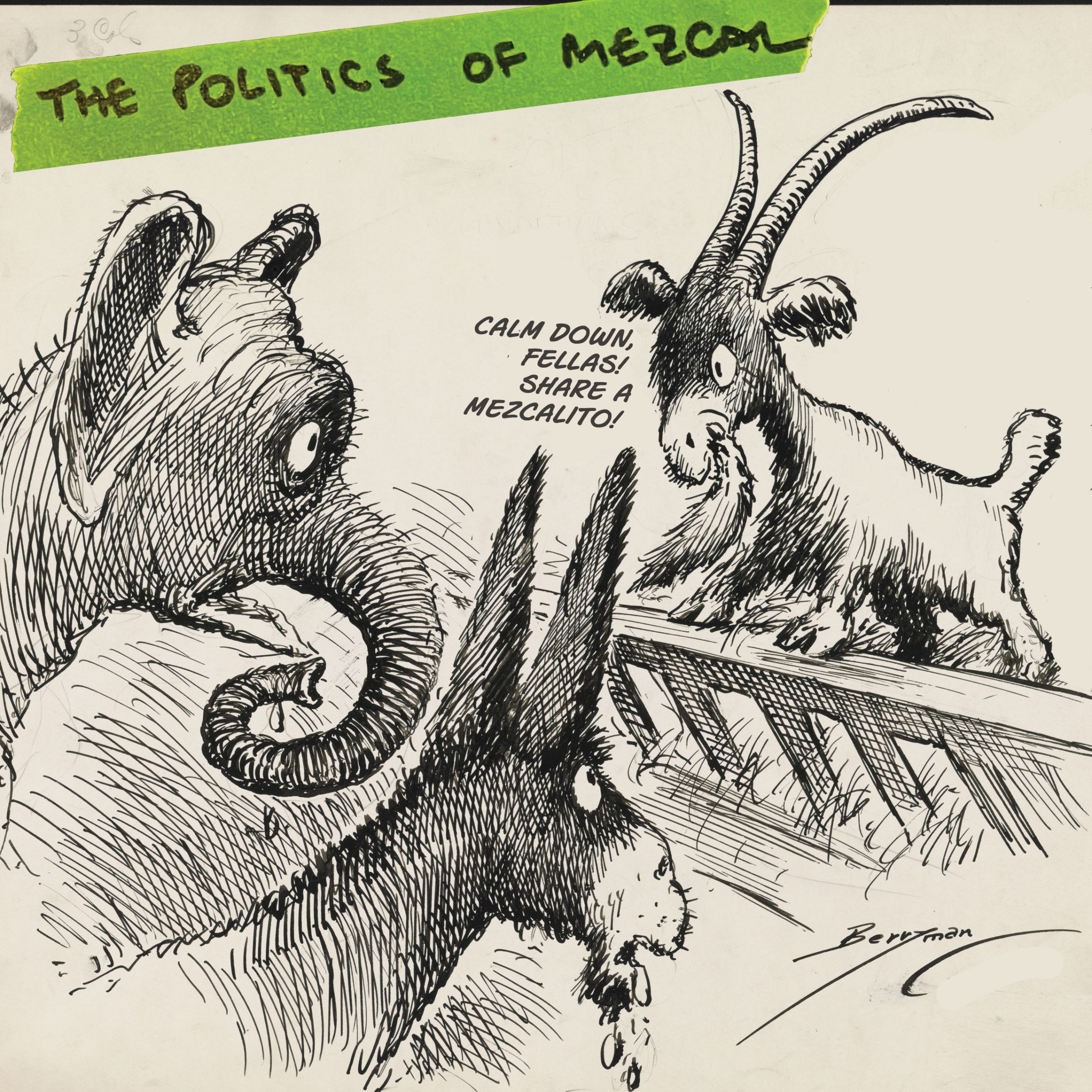 The Politics of Mezcal