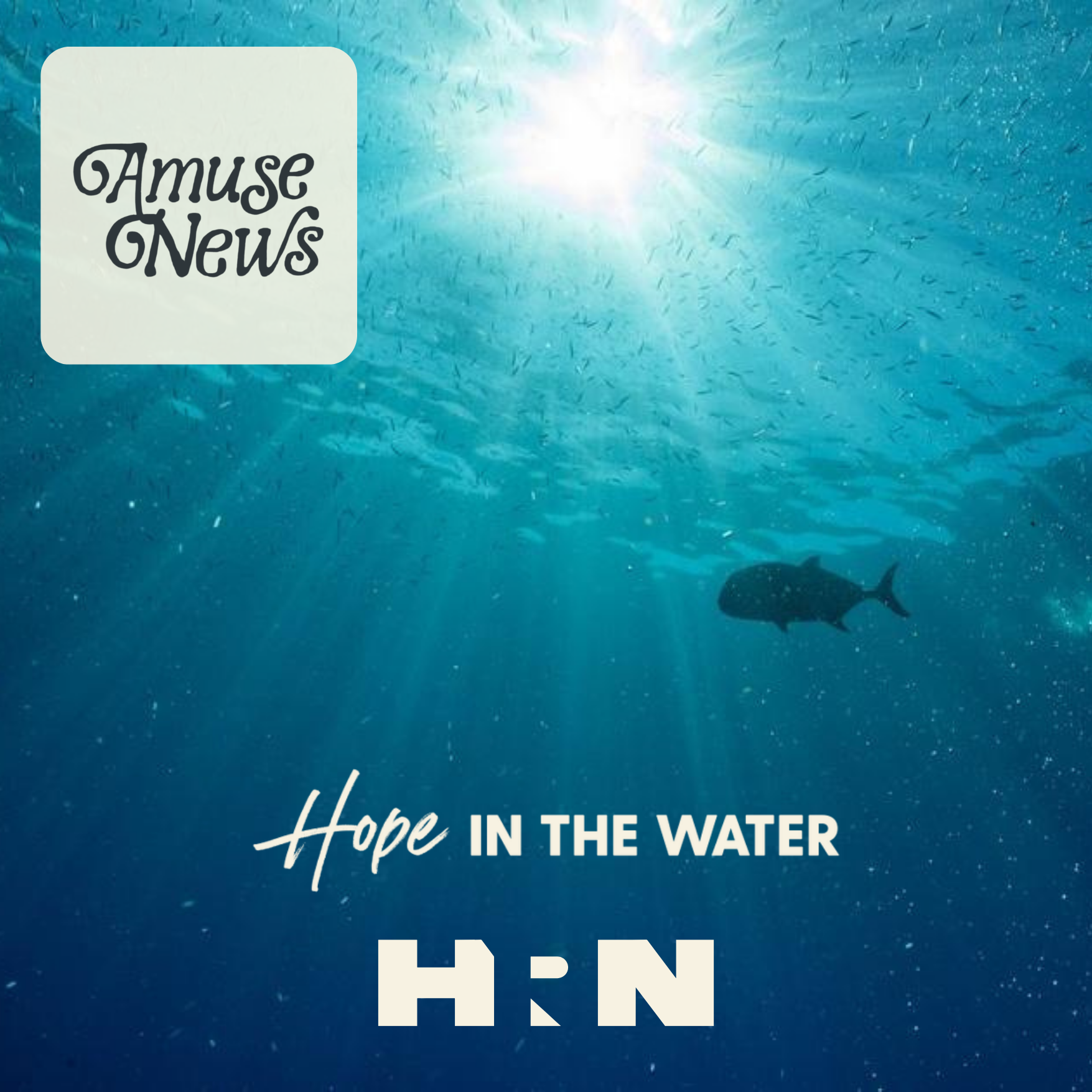 Amuse News 6/28 — Hope in the Water