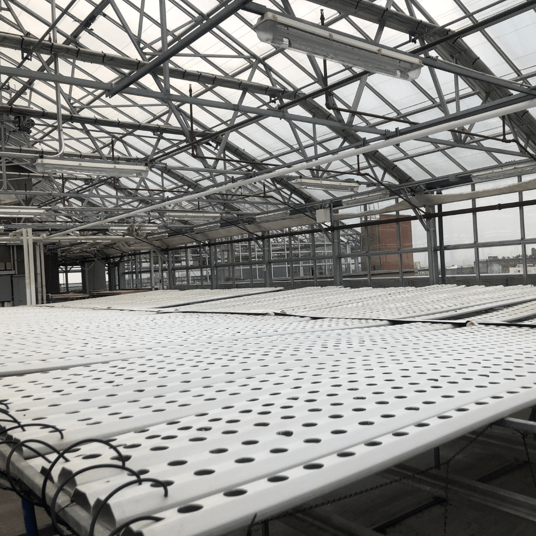 Catching Up with Wythe: The Recent Troubles in Vertical Farming