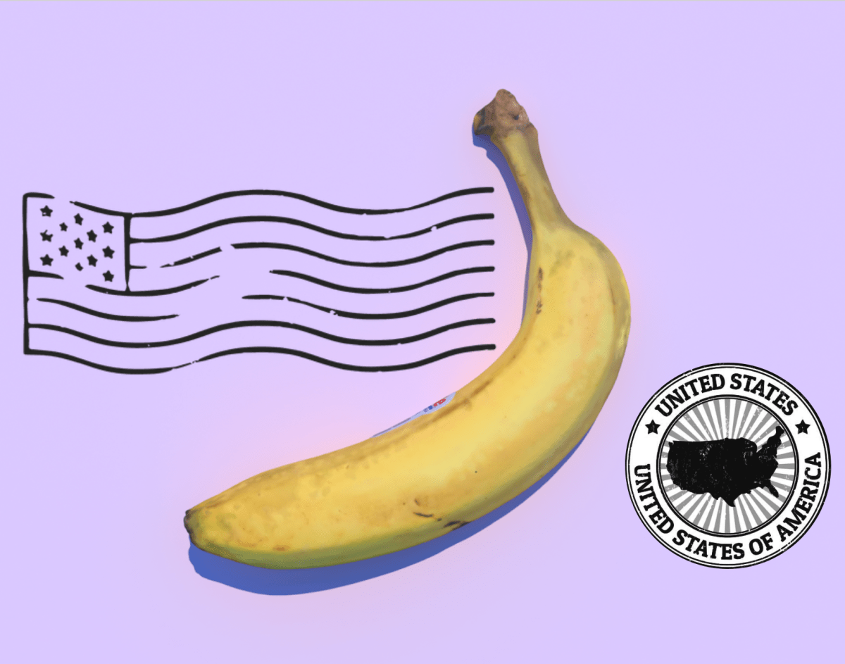 Viaje Banana