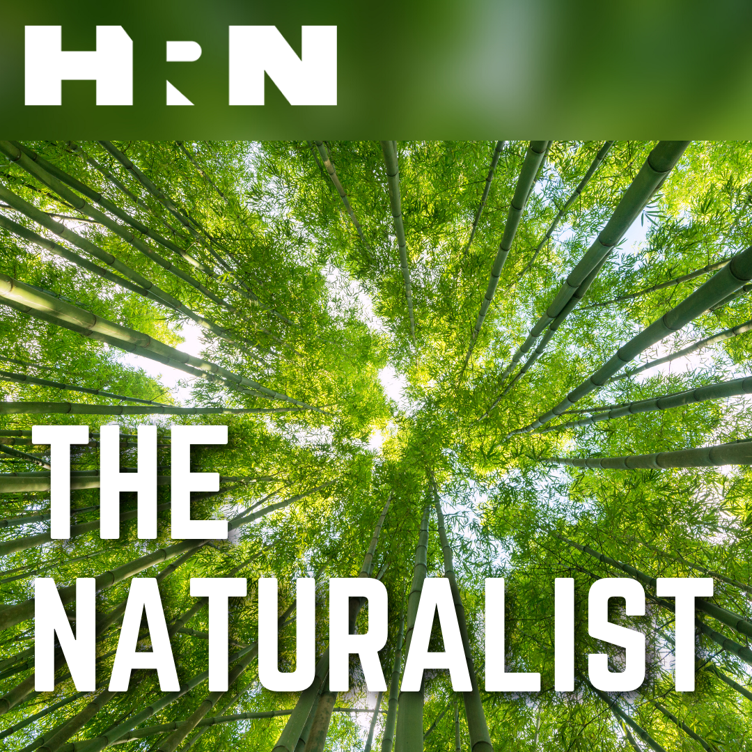 The Naturalist