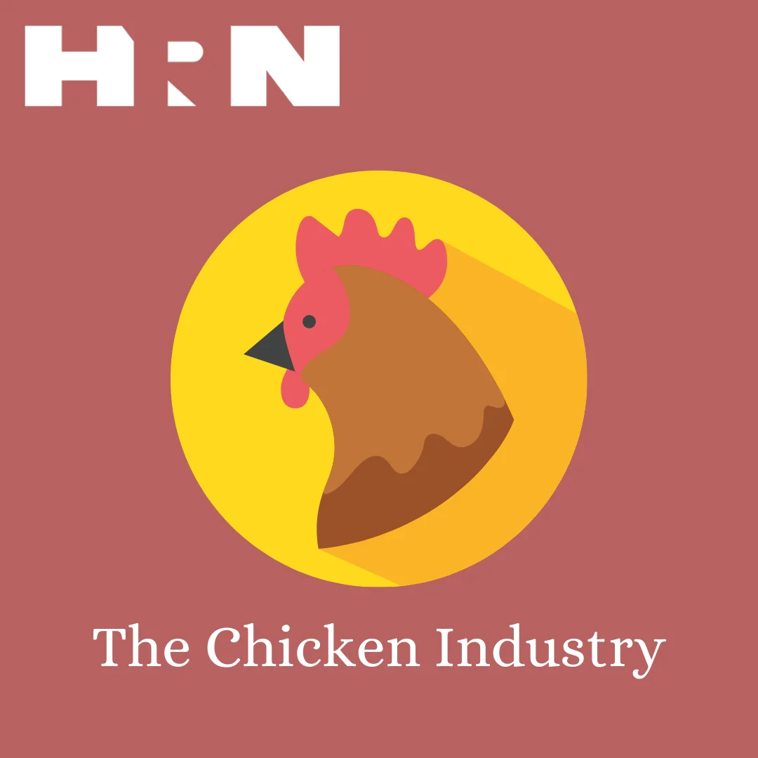 The Chicken Industry (TCI)